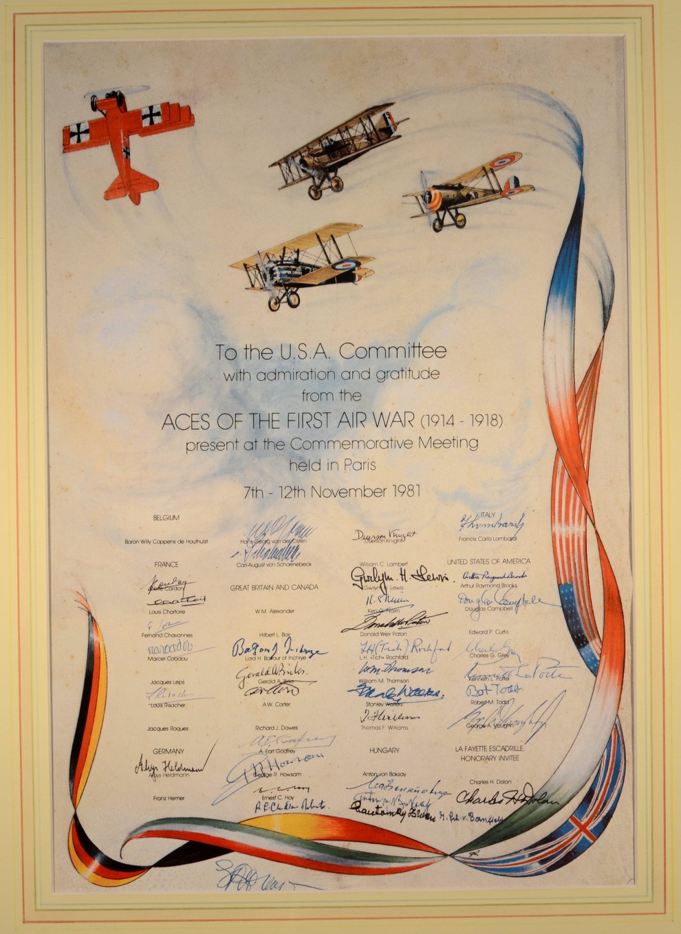 Tim Jenkins_Aces of WW1